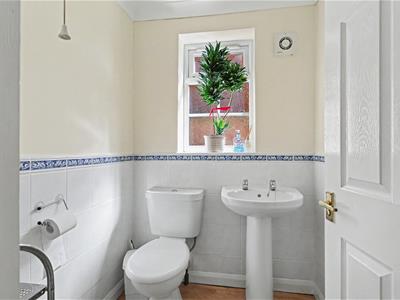 Picture 12